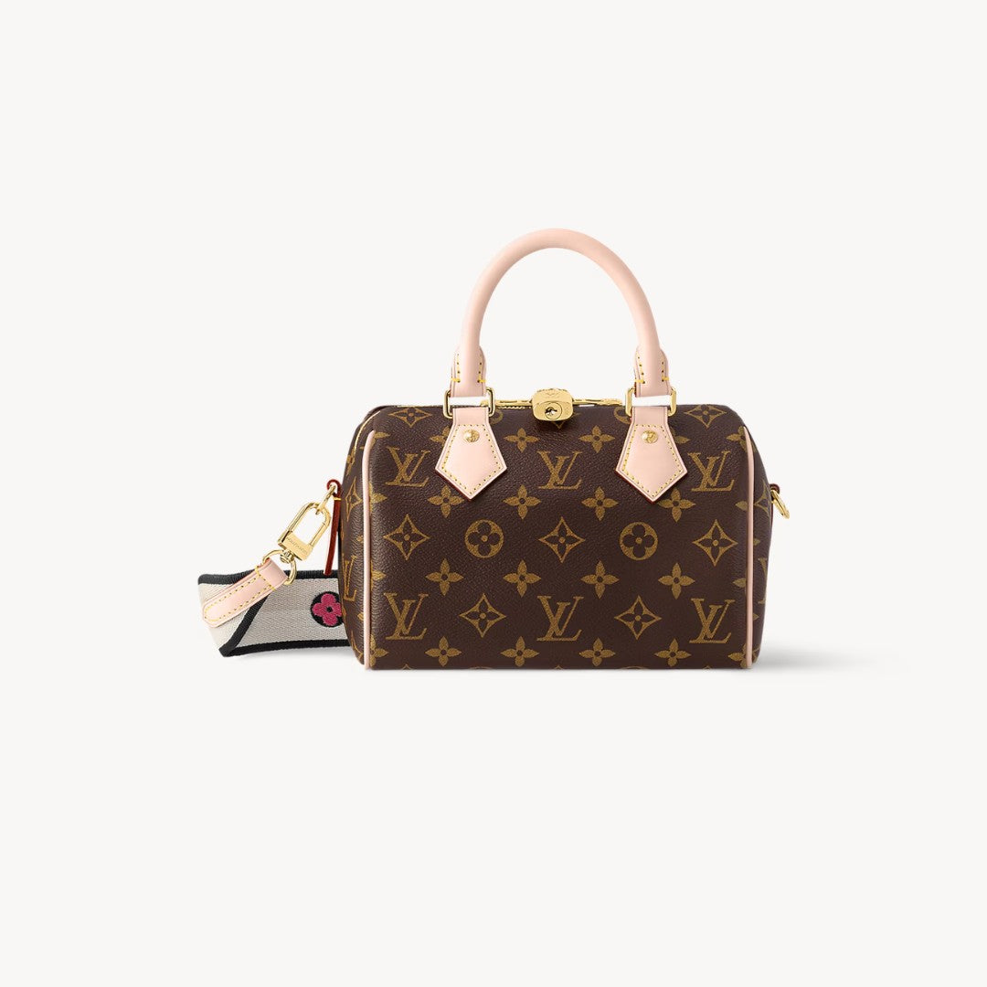 Louis Vuitton Speedy + $10k