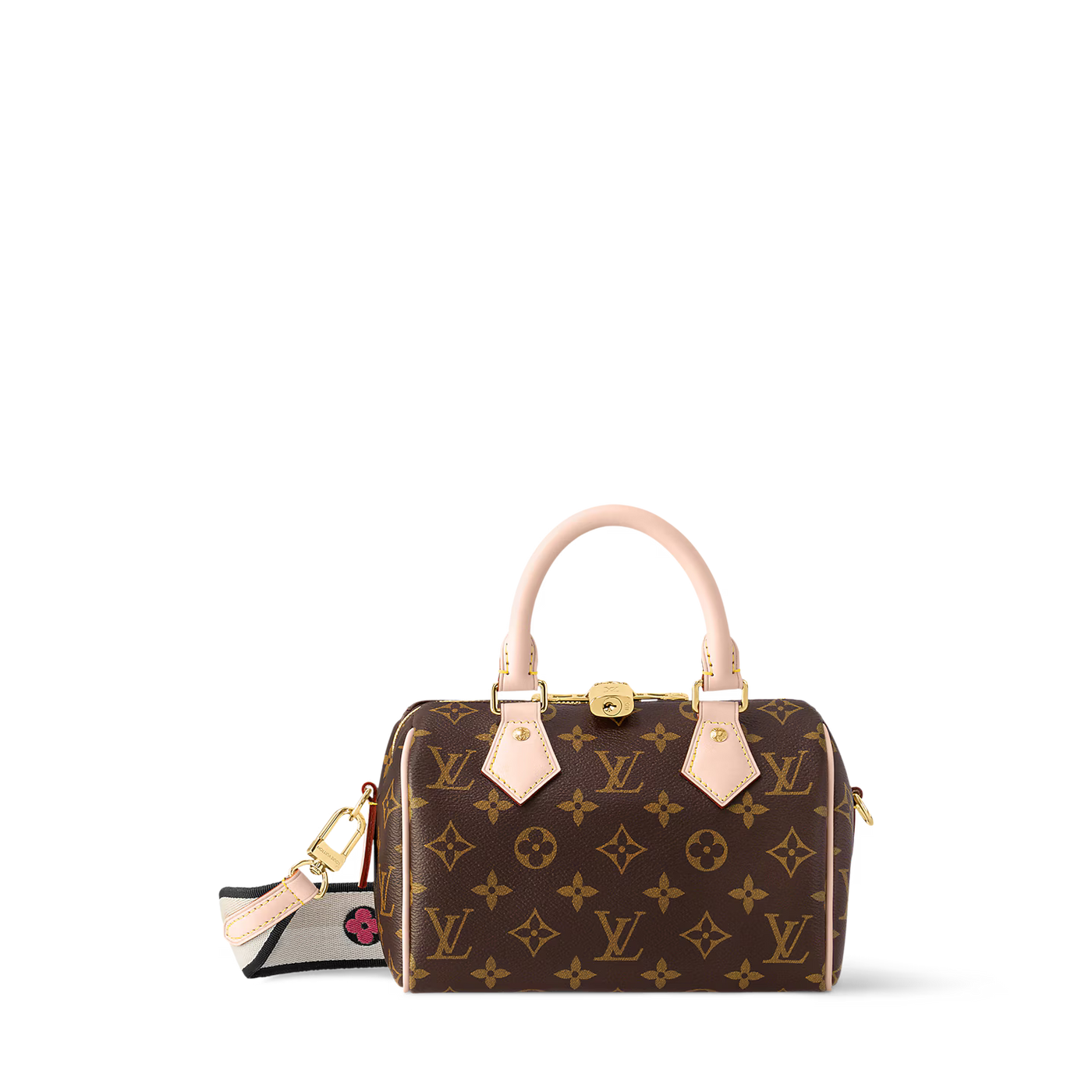 Louis Vuitton Speedy + $10k